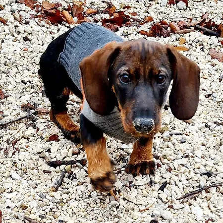 아파트 Bergpanorama