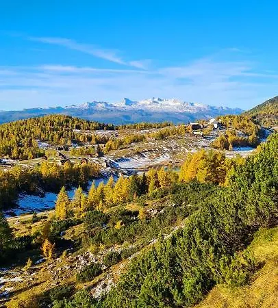 شقة Bergpanorama *