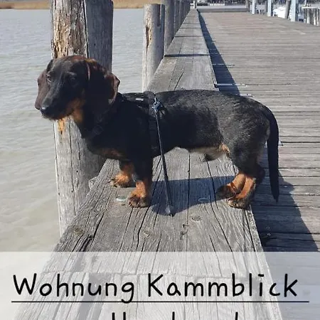 Bergpanorama 아파트 바트 미테른도르프