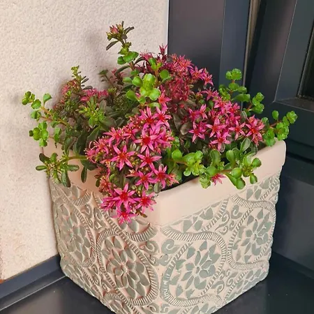 Bergpanorama Bad Mitterndorf