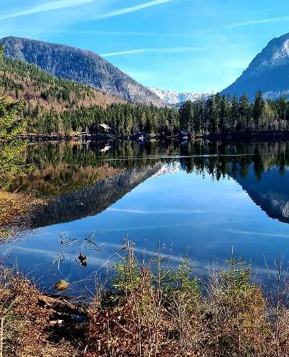 Bergpanorama Apartment