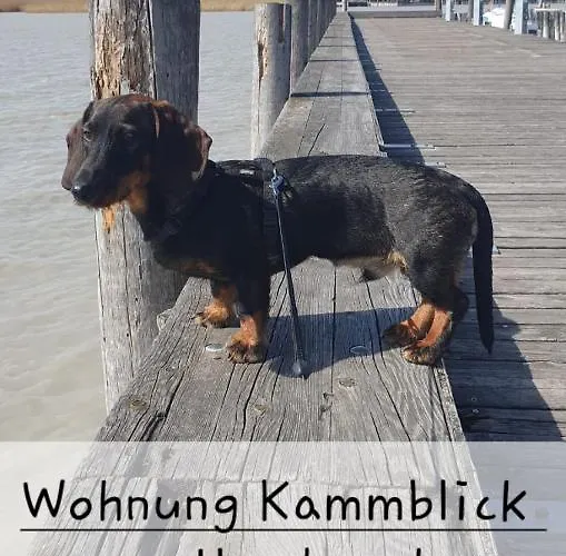 Bergpanorama Appartement Bad Mitterndorf